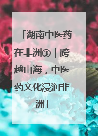 湖南中医药在非洲③｜跨越山海，中医药文化浸润非洲
