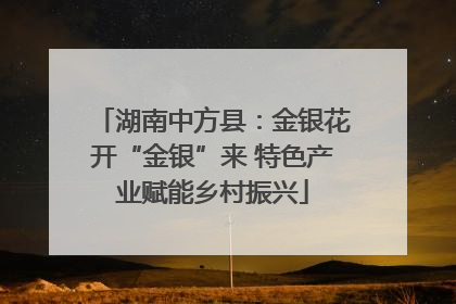 湖南中方县：金银花开“金银”来 特色产业赋能乡村振兴