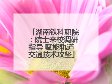 湖南铁科职院：院士来校调研指导 赋能轨道交通技术攻坚