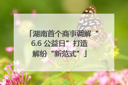 湖南首个商事调解“6.6 公益日”打造解纷“新范式”