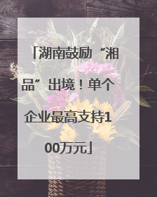 湖南鼓励“湘品”出境！单个企业最高支持100万元