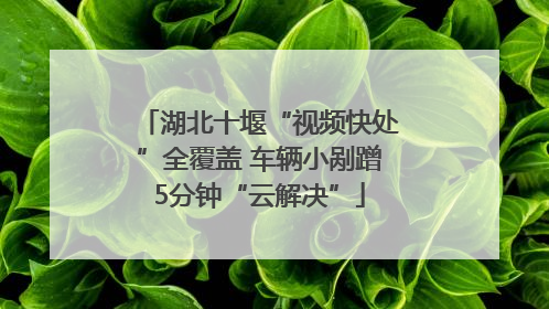 湖北十堰“视频快处”全覆盖 车辆小剐蹭5分钟“云解决”