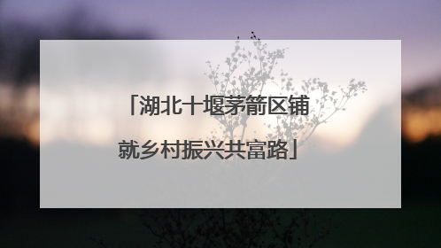 湖北十堰茅箭区铺就乡村振兴共富路