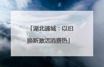 湖北通城：以旧换新激活消费热