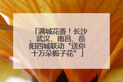 满城花香！长沙、武汉、南昌、岳阳四城联动“送你十万朵栀子花”
