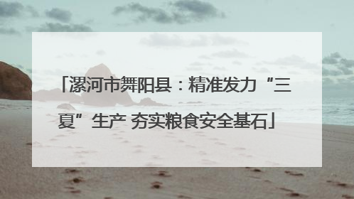 漯河市舞阳县：精准发力“三夏”生产 夯实粮食安全基石
