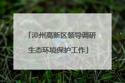 漳州高新区领导调研生态环境保护工作