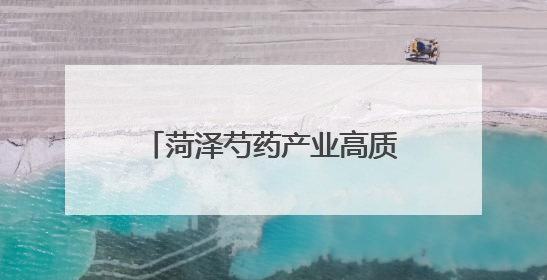 菏泽芍药产业高质量发展座谈会召开