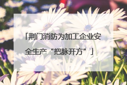 荆门消防为加工企业安全生产“把脉开方”