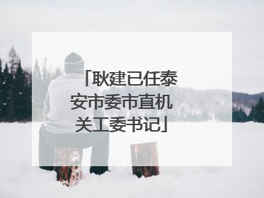 耿建已任泰安市委市直机关工委书记