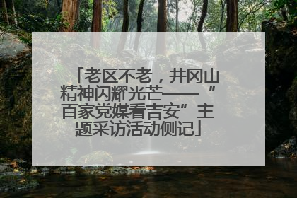 老区不老，井冈山精神闪耀光芒——“百家党媒看吉安”主题采访活动侧记