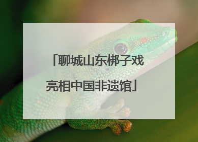 聊城山东梆子戏亮相中国非遗馆