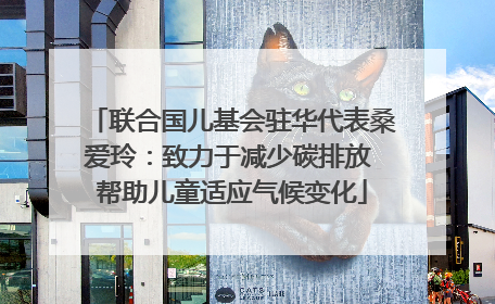 联合国儿基会驻华代表桑爱玲：致力于减少碳排放 帮助儿童适应气候变化
