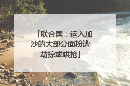 联合国：运入加沙的大部分面粉遭劫掠或哄抢