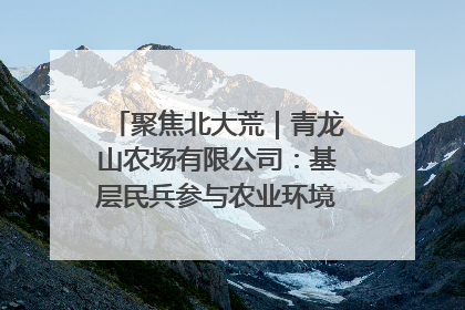 聚焦北大荒｜青龙山农场有限公司：基层民兵参与农业环境综合治理显效