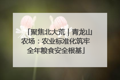聚焦北大荒｜青龙山农场：农业标准化筑牢全年粮食安全根基