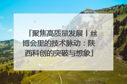 聚焦高质量发展丨丝博会里的技术脉动：陕西科创的突破与想象