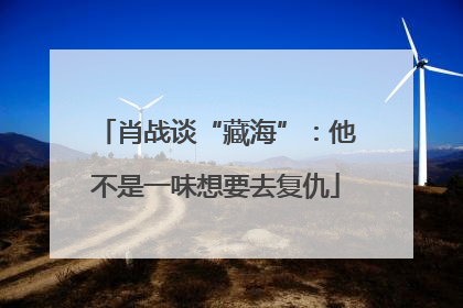 肖战谈“藏海”：他不是一味想要去复仇