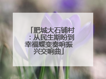 肥城大石铺村：从民生期盼到幸福蝶变奏响振兴交响曲