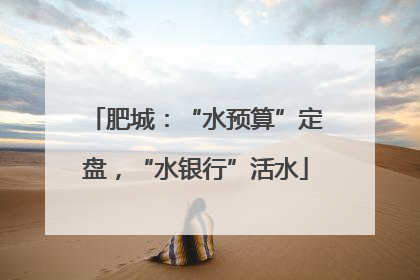 肥城：“水预算”定盘，“水银行”活水
