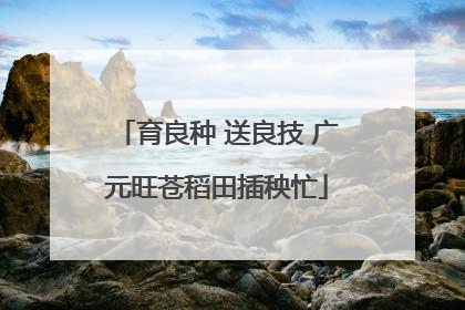 育良种 送良技 广元旺苍稻田插秧忙