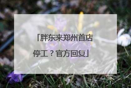 胖东来郑州首店停工？官方回复