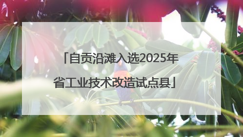 自贡沿滩入选2025年省工业技术改造试点县