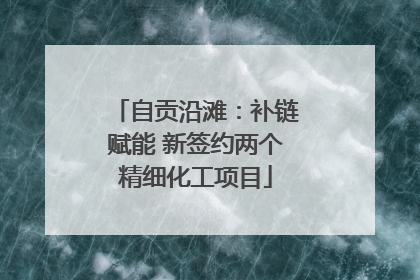 自贡沿滩：补链赋能 新签约两个精细化工项目