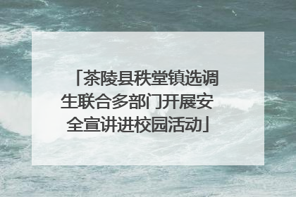 茶陵县秩堂镇选调生联合多部门开展安全宣讲进校园活动