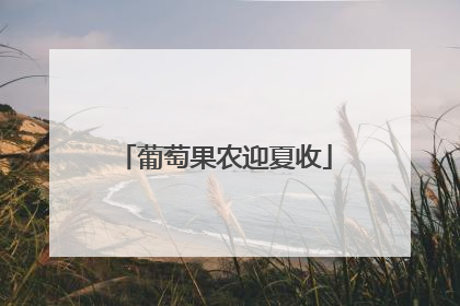 葡萄果农迎夏收