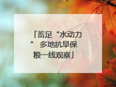 蓄足“水动力” 多地抗旱保粮一线观察