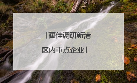 蔺佳调研新港区内重点企业