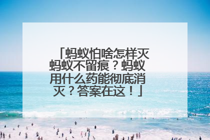 蚂蚁怕啥怎样灭蚂蚁不留痕？蚂蚁用什么药能彻底消灭？答案在这！