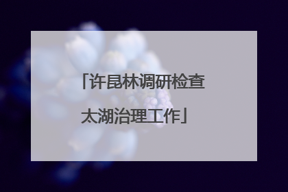 许昆林调研检查太湖治理工作