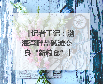 记者手记：渤海湾畔盐碱滩变身“新粮仓”