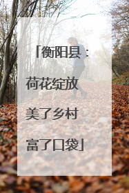 衡阳县：荷花绽放 美了乡村 富了口袋