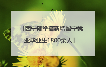 西宁硬举措新增留宁就业毕业生1800余人