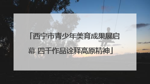 西宁市青少年美育成果展启幕 四千作品诠释高原精神