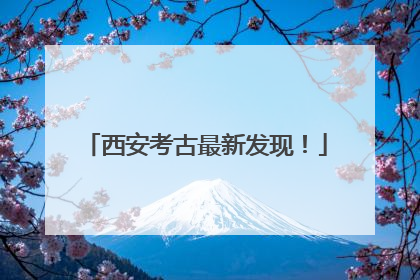 西安考古最新发现！