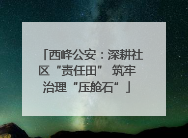 西峰公安：深耕社区“责任田” 筑牢治理“压舱石”