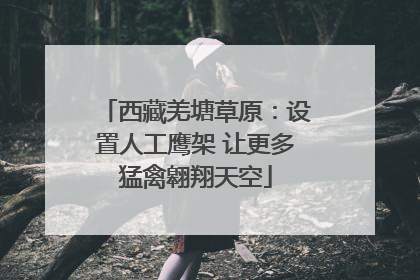 西藏羌塘草原：设置人工鹰架 让更多猛禽翱翔天空