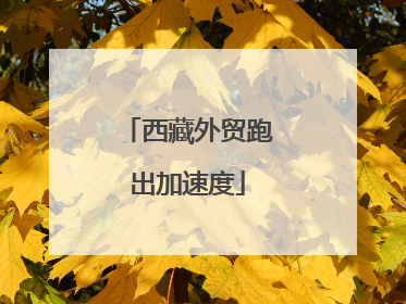 西藏外贸跑出加速度