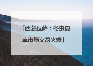 西藏拉萨：冬虫夏草市场交易火爆