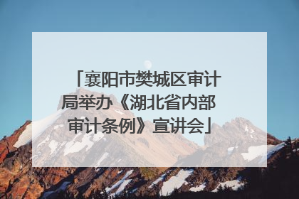 襄阳市樊城区审计局举办《湖北省内部审计条例》宣讲会