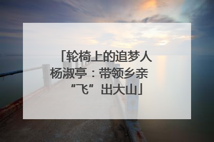 轮椅上的追梦人杨淑亭：带领乡亲“飞”出大山
