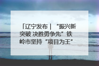辽宁发布｜“振兴新突破 决胜勇争先”铁岭市坚持“项目为王”推进经济高质量发展