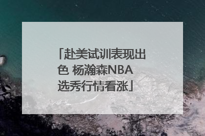 赴美试训表现出色 杨瀚森NBA选秀行情看涨