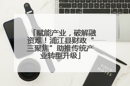 赋能产业，破解融资难！浦江县财政“三聚焦”助推传统产业转型升级