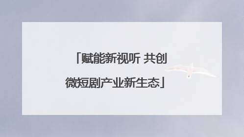 赋能新视听 共创微短剧产业新生态