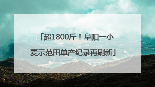 超1800斤！阜阳一小麦示范田单产纪录再刷新